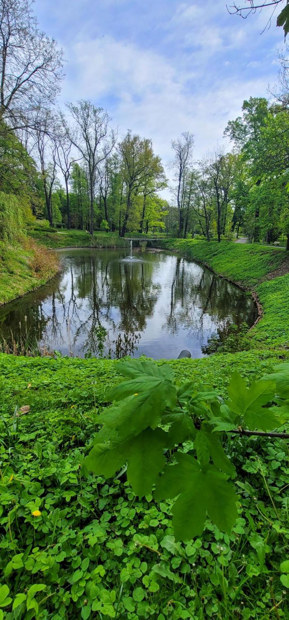 Garden * Gliwice