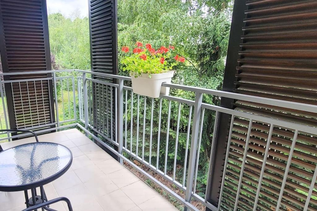 Apartment Garden Gliwice