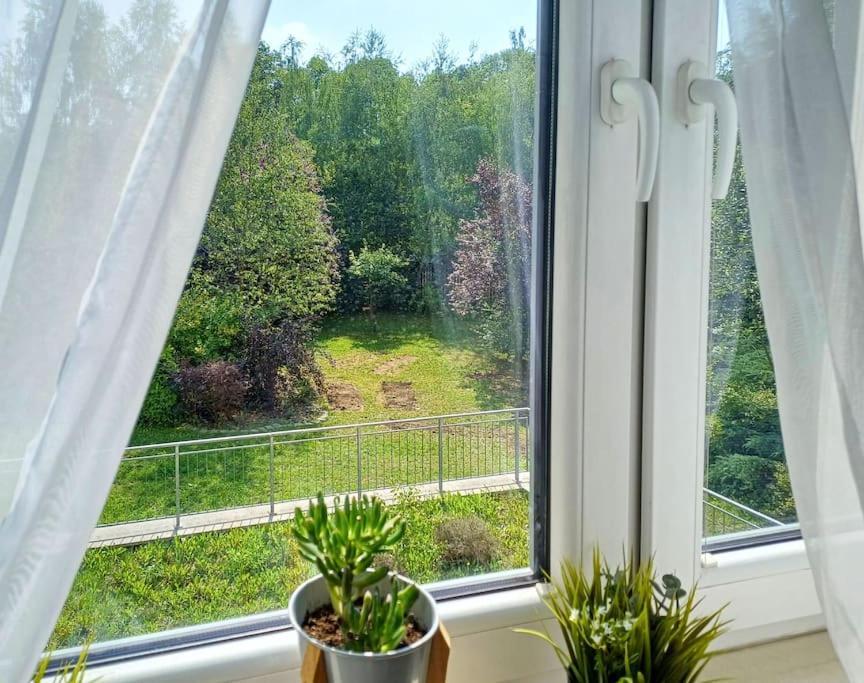 Garden *